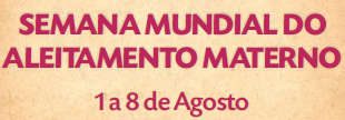 Seminário de Aleitamento Materno – SMAM 2013