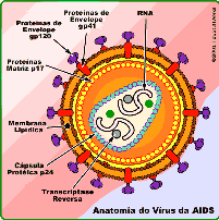 LEITE MATERNO PODE BLOQUEAR HIV – AIDS