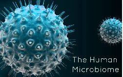 O MICROBIOMA HUMANO na GESTAÇÃO, PARTO & AMAMENTAÇÃO