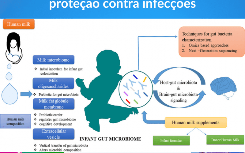 Microbiota do leite materno tem um efeito protetor           contra doenças