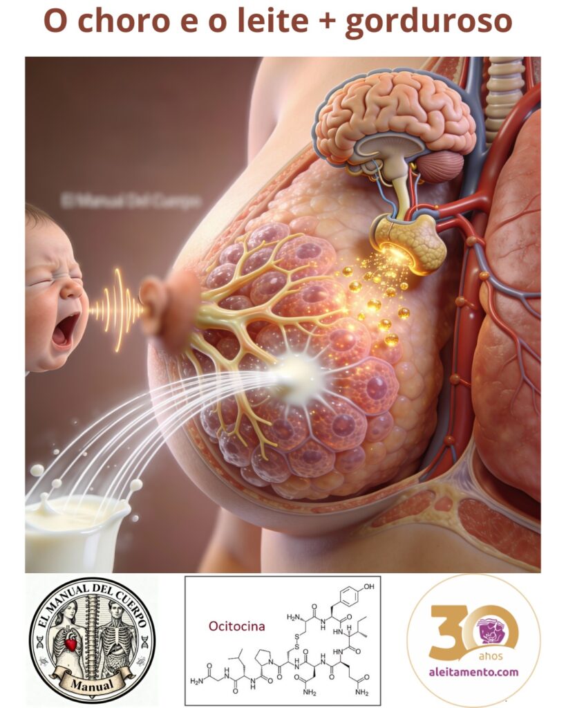 O Laço Invisível entre o Choro e o Leite + calórico! 📢